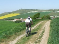 Marcheurs et VTT font bon ménage