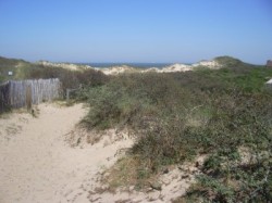 Les dunes