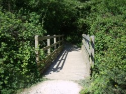 Petit pont de bois