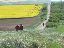 La voie romaine