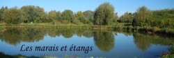 Les Etangs