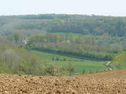 Le chemin qui rammène au village.