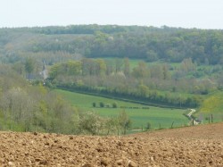 Le chemin qui rammène au village.