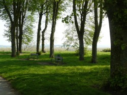 Espace boisé.