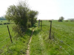 passage entre les près