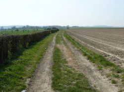 Dans la plaine les chemins de tracteurs 