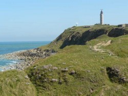 Le gris Nez.