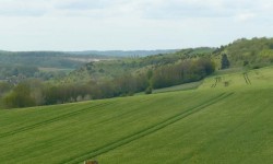 P1130004 - Copie